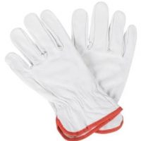 Guante Profesional Cabritilla
